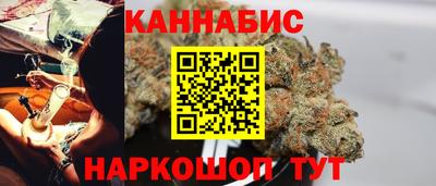 гидра Кингисепп