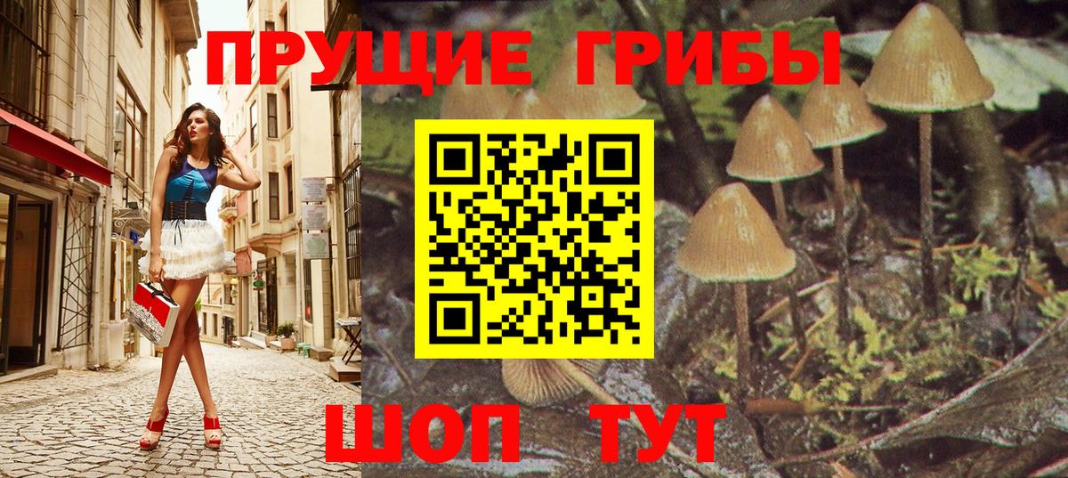 Галлюциногенные грибы мицелий  Вход с VPN  Галлюциногенные грибы GOLDEN TEACHER  Усть-Джегута 